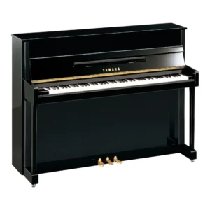 Yamaha B-2