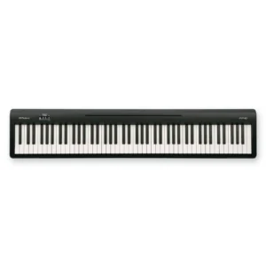 Roland FP-10