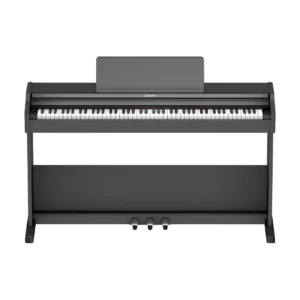 Roland RP-107