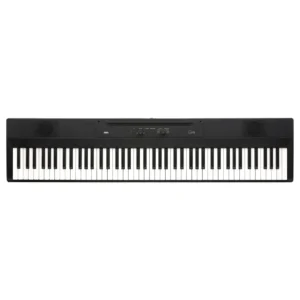 Korg Liano L-1