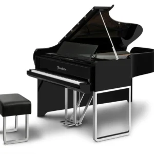 Bösendorfer Limited Edition-Audi