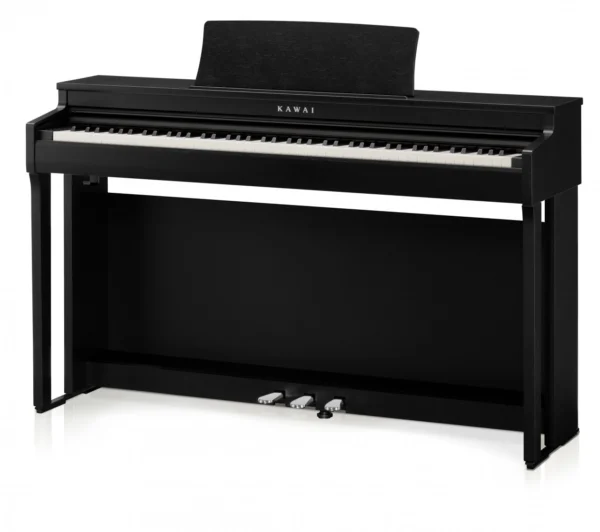 Kawai CN-201