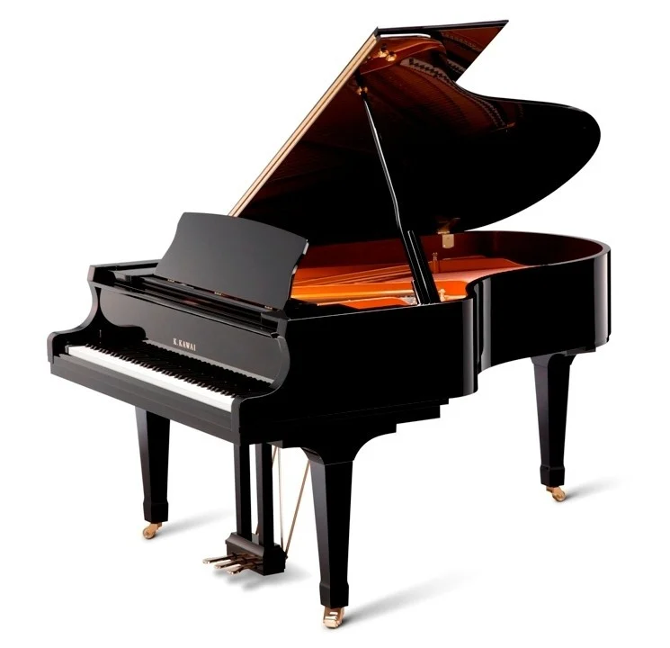Kawai GX-5 PE