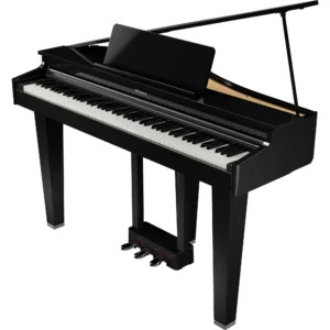Roland GP-3 PE