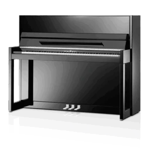 Schimmel C-116 Modern