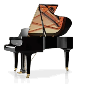 Schimmel C-189 Tradition