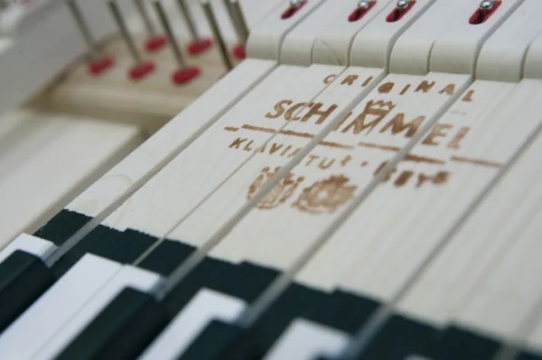 Schimmel W-206 Tradition