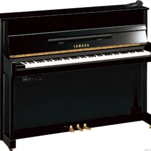Yamaha B-2 SG2