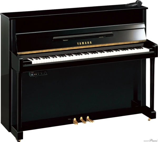 Yamaha B-2 SG2