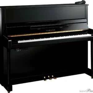 Yamaha B-2 SG2
