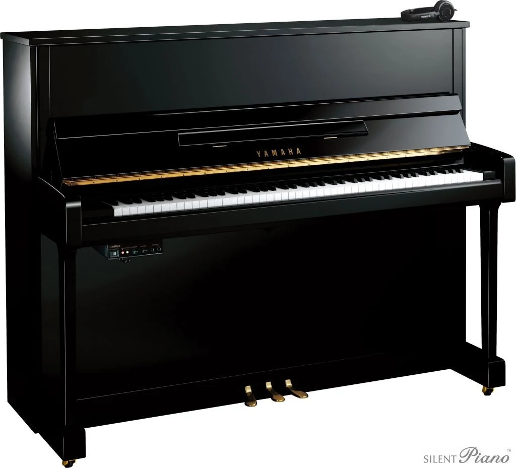Yamaha B-2 SG2