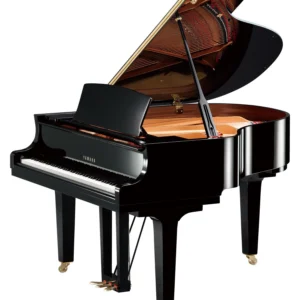 Yamaha C1X