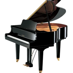 Yamaha GB1