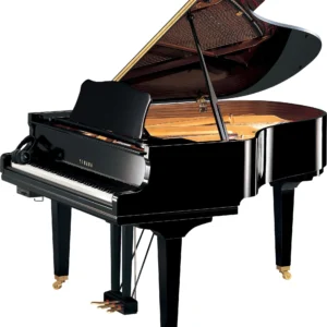 Yamaha GC2